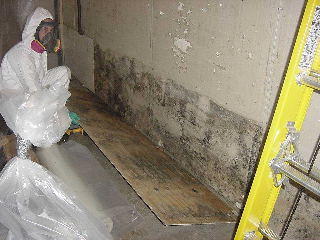 Indoor Air Quality Testing - Mold Walls Testing